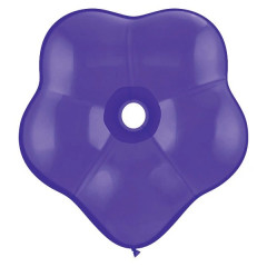 BALAO 6